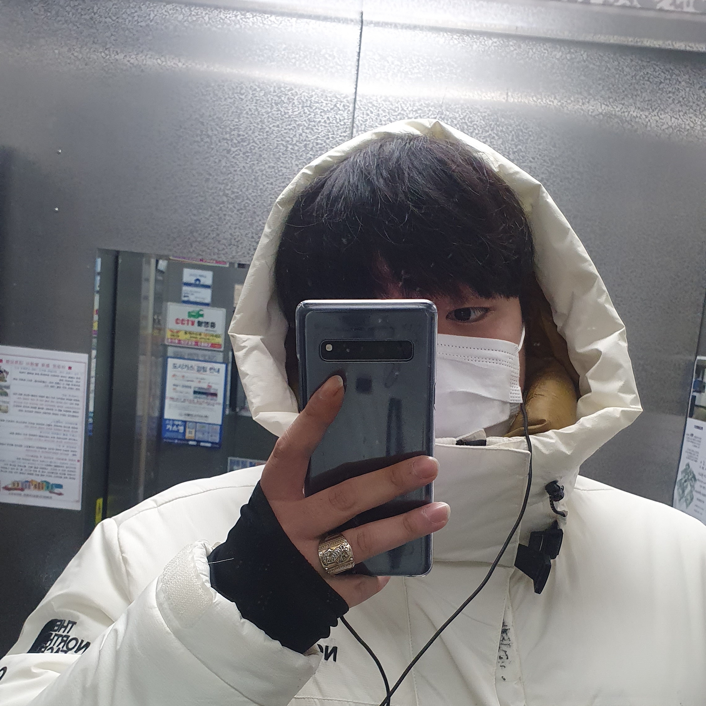 치즈에빠진햄스터