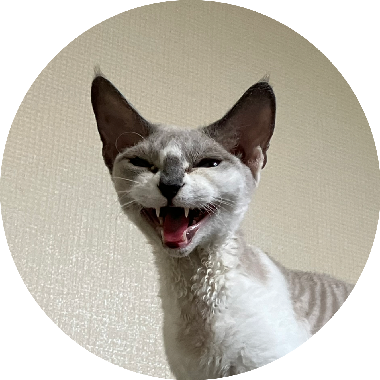 neongenesisevangelion