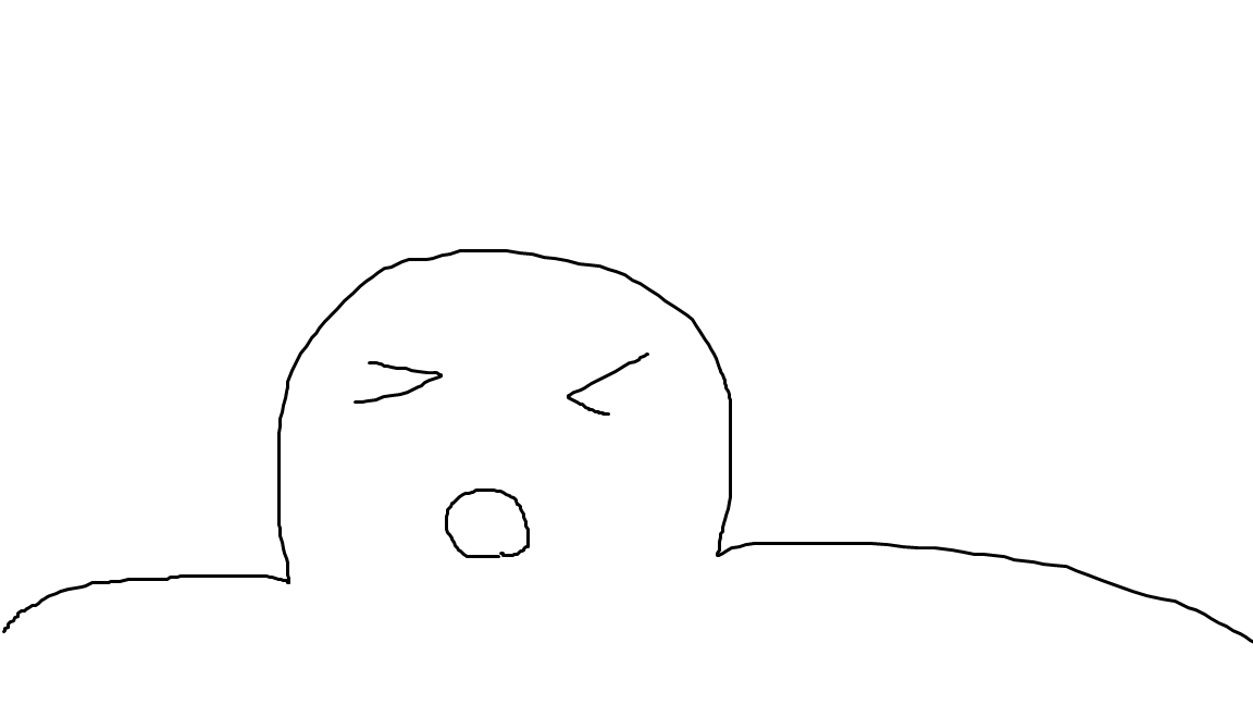 정진짜
