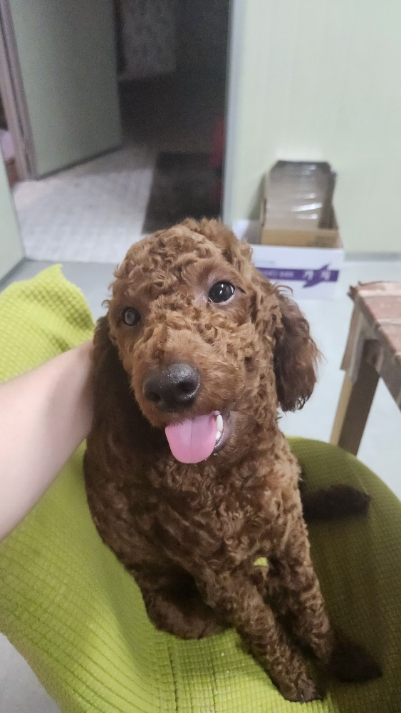 박첨벙