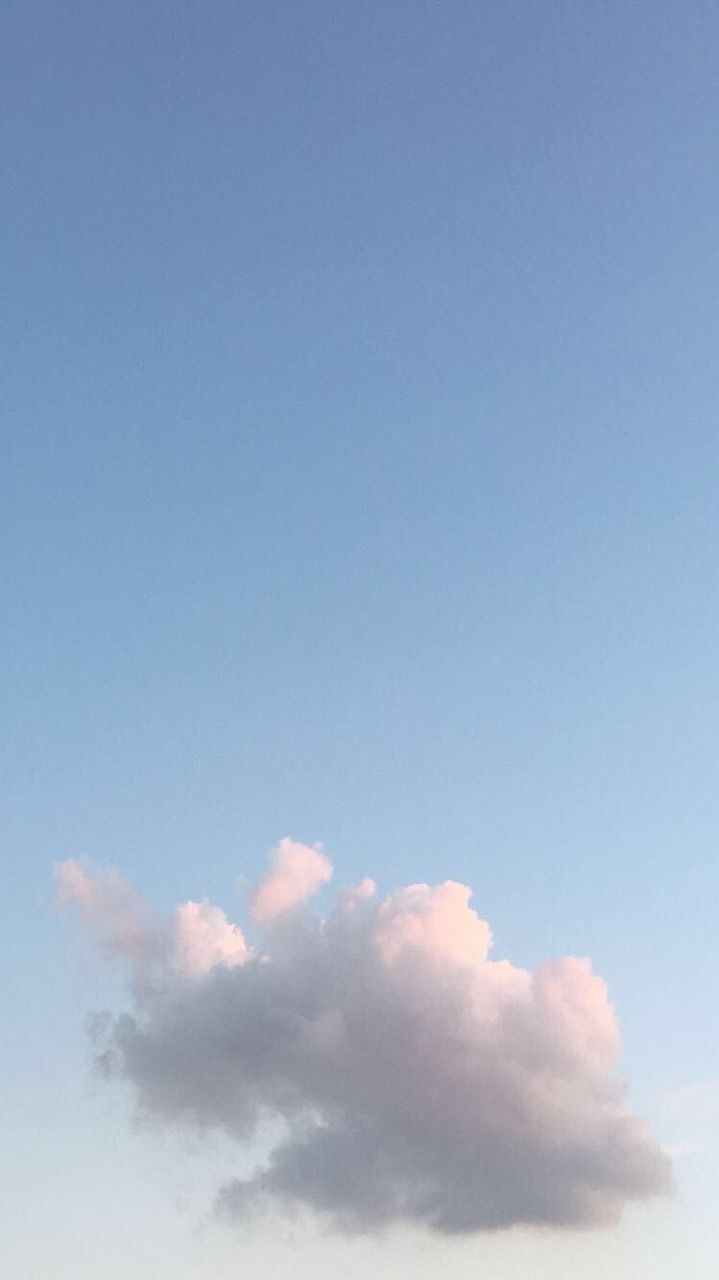 호두가좋아