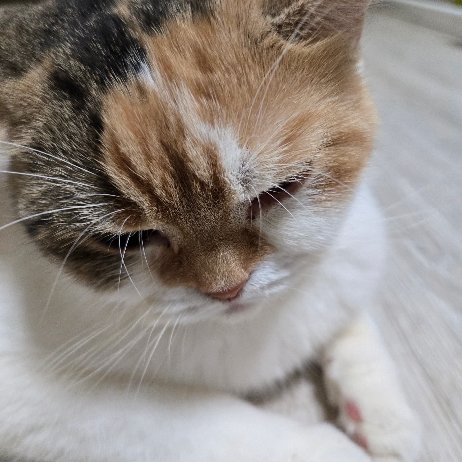 이세계 용사