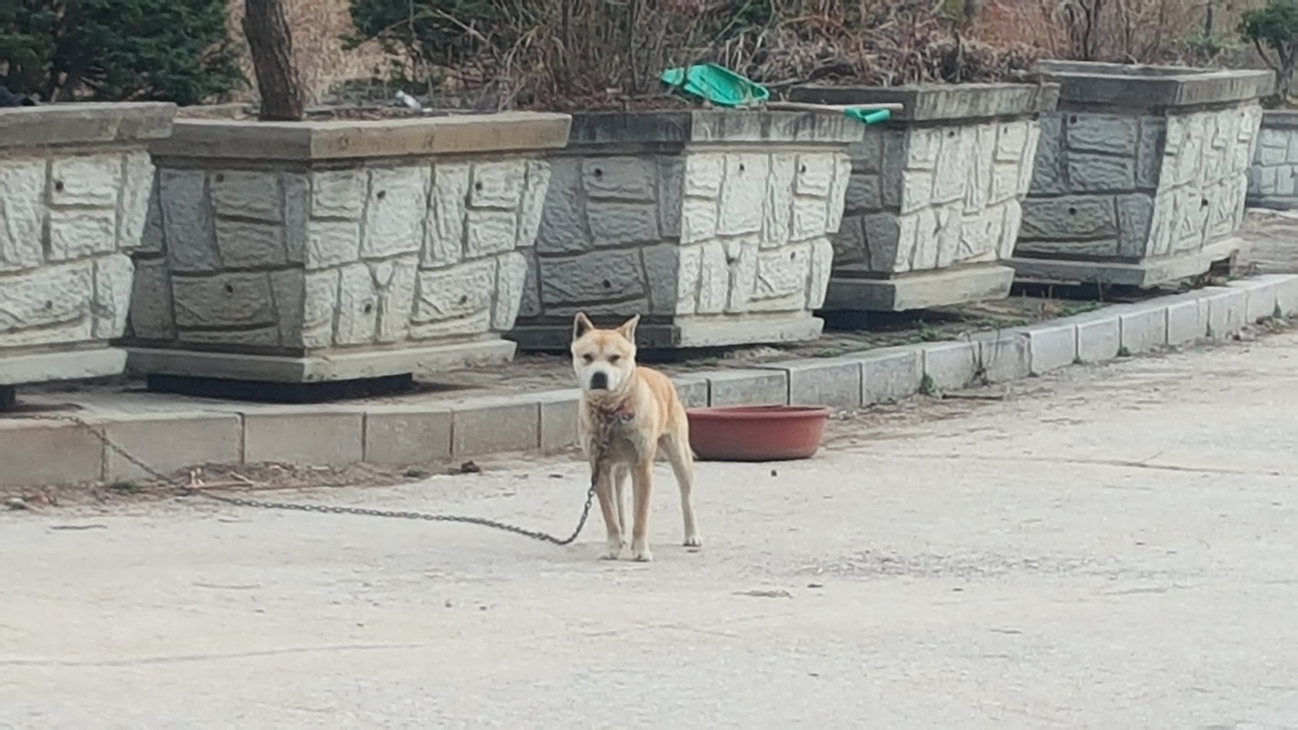 병원개