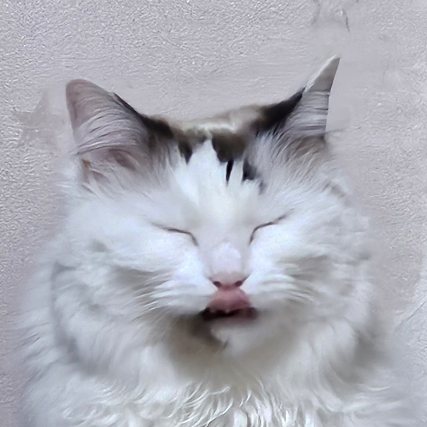 옥슈수아닙니다