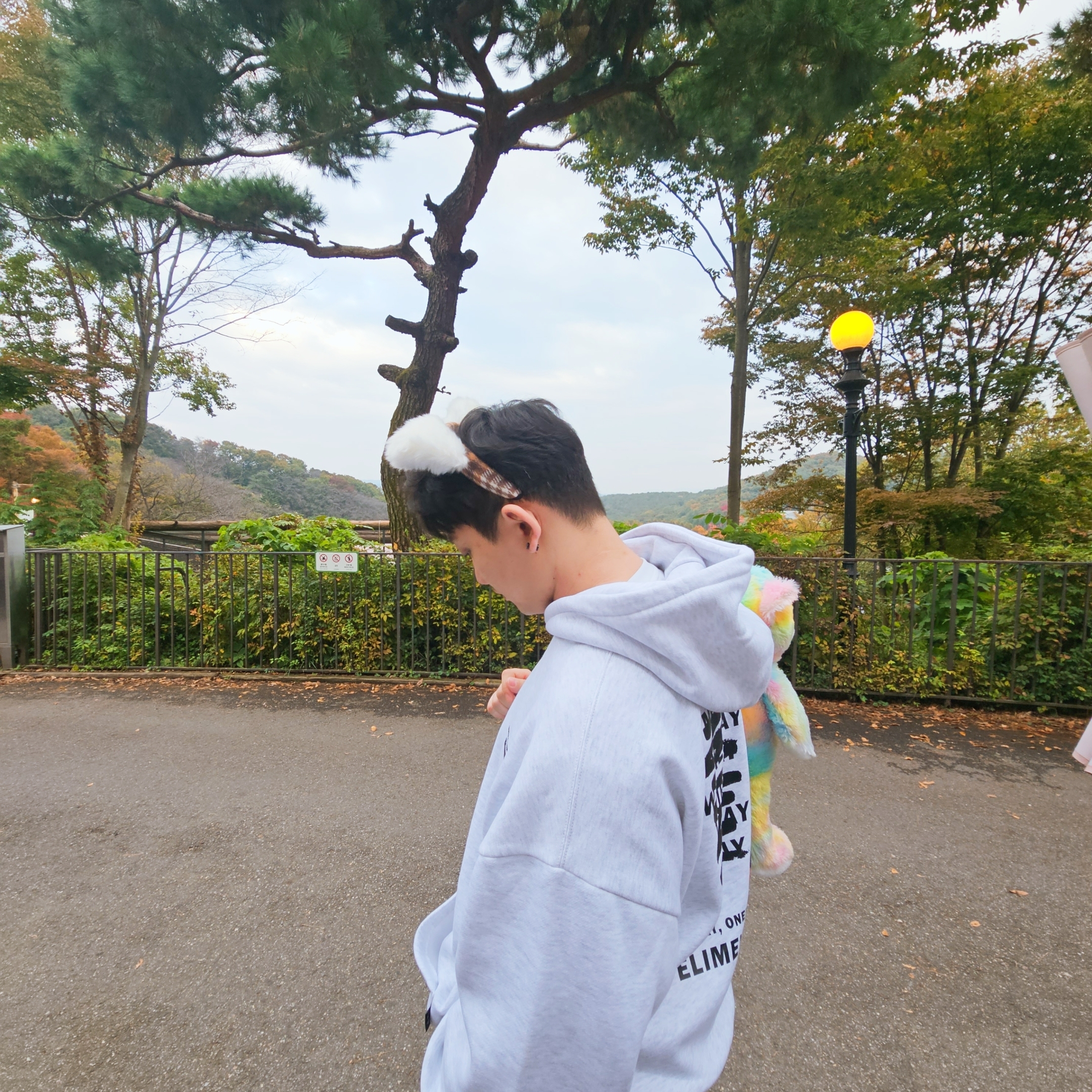파이리s