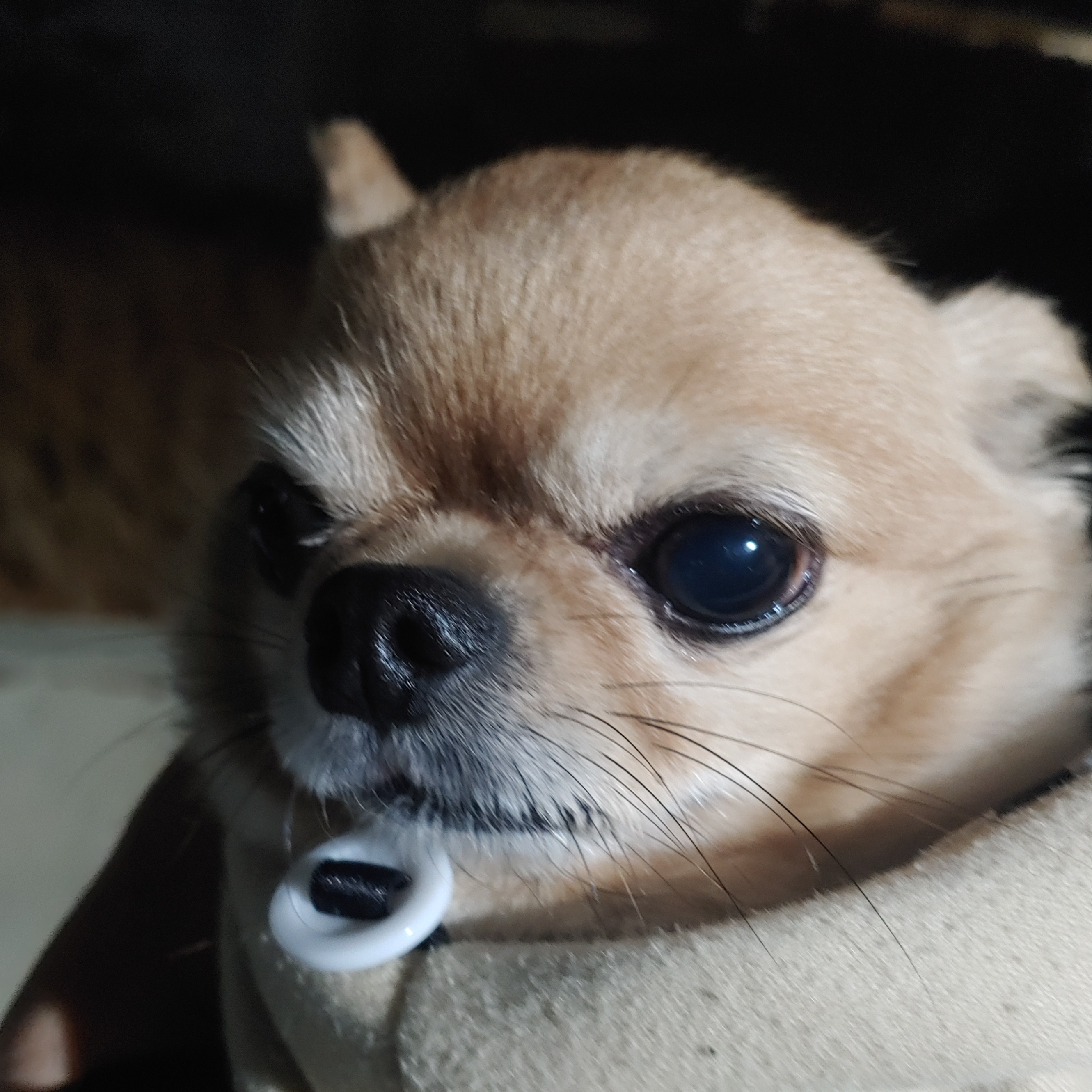 나탈리아 하트포우