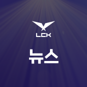뉴스