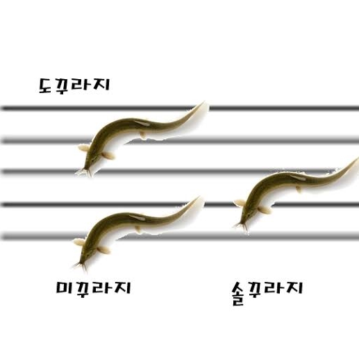 미 꼬