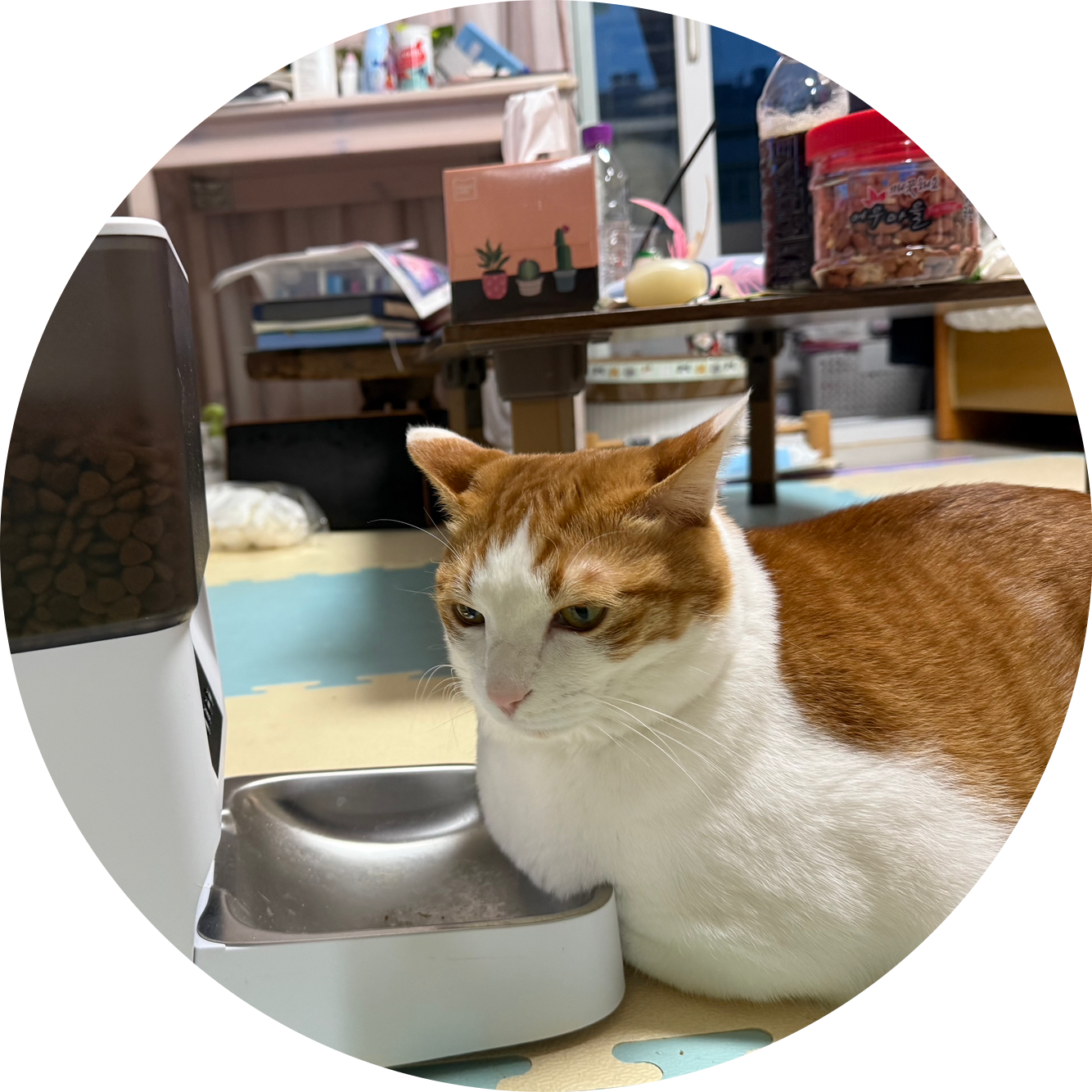 사람을 화나게 하는