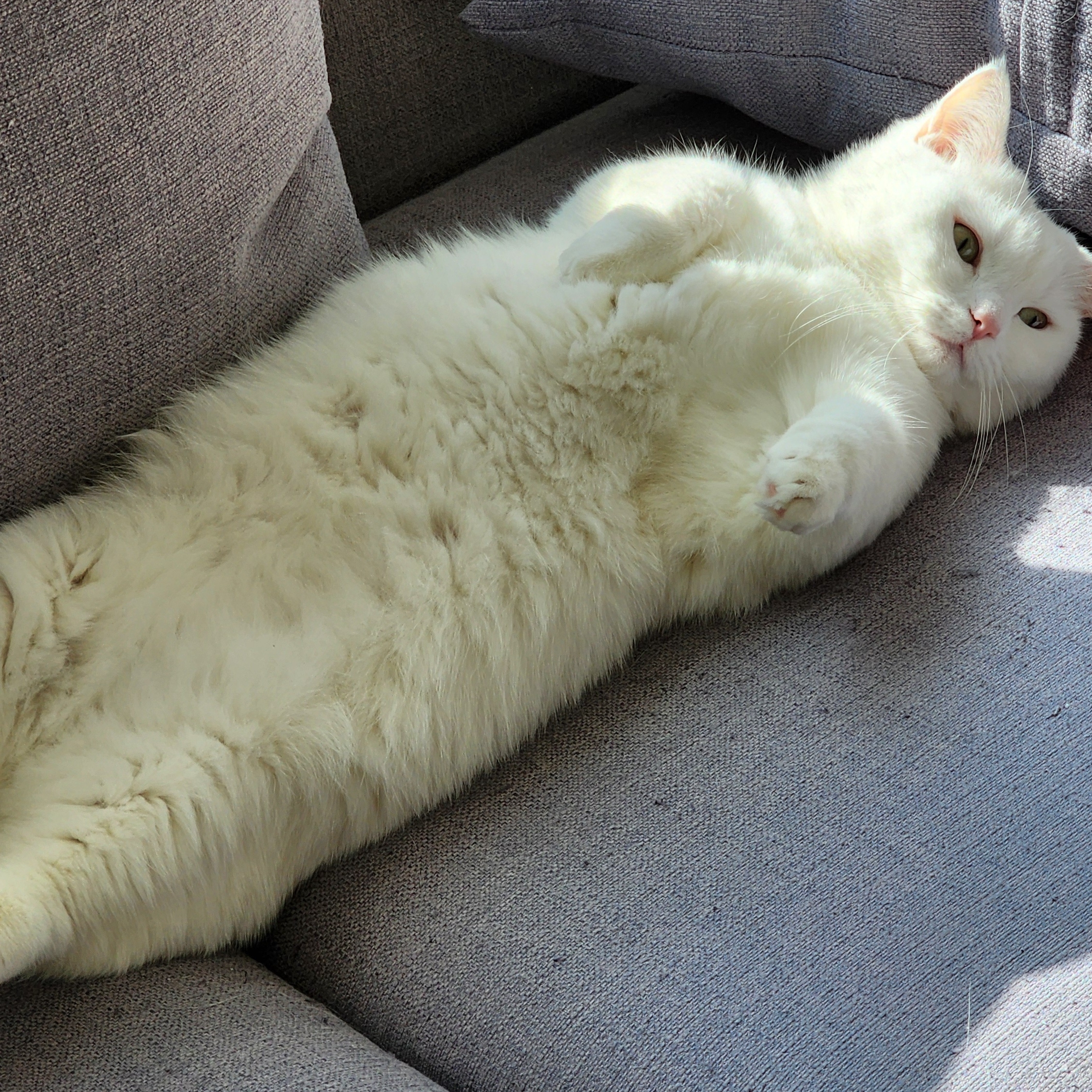 나무가 좋은 사람