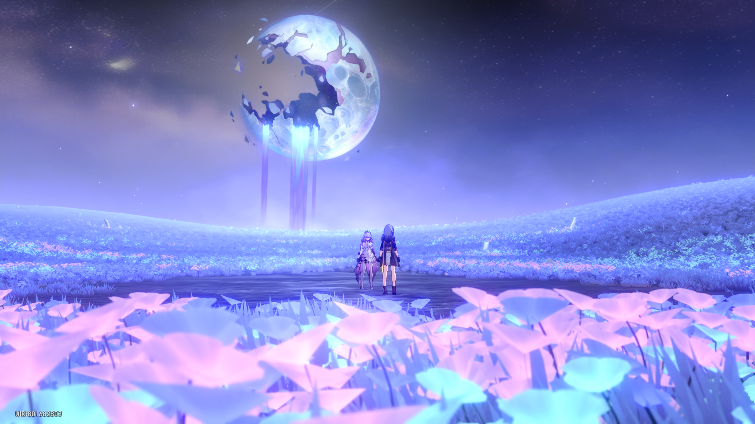 잼핀이먹던상어젤리