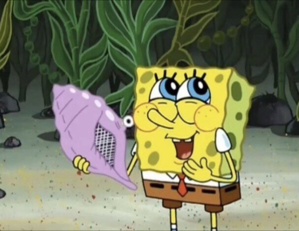 개꿀딱지는뚝순뚝순