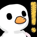 케이 와이