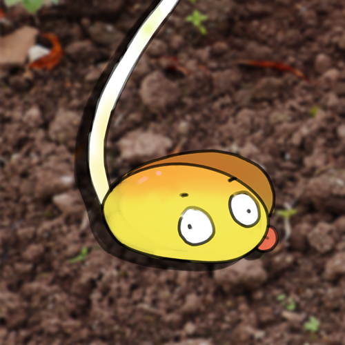 콩나물구나무서기