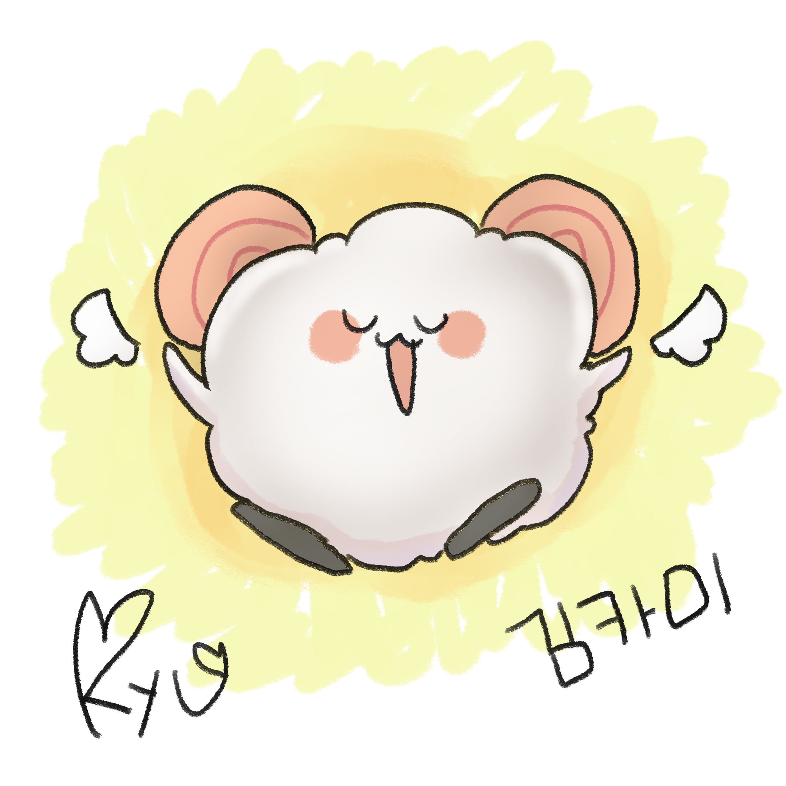 kim카미