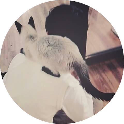 정글탐험대 꿀벌