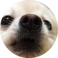 쿨쿨쿨zz