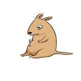 왈라빈 채널 프로필