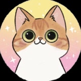 박 집 사 채널 프로필