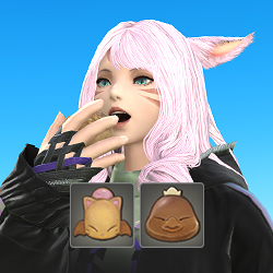 경험치 증가 아이템 쿠폰