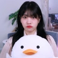 연보민