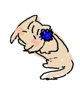 나리나리박물관