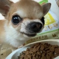 박진흙3