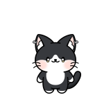냥이리 채널 프로필