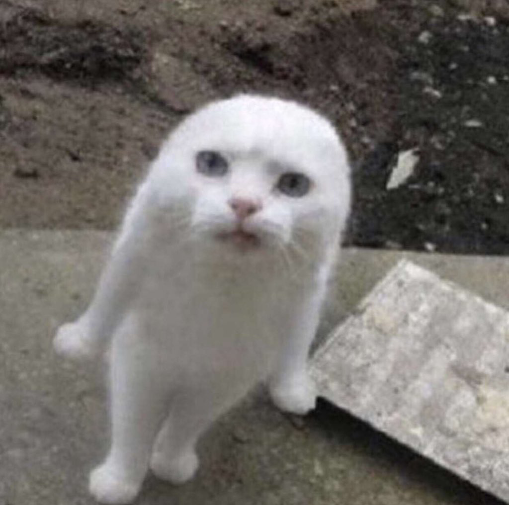 듀듀듀댜댜댯