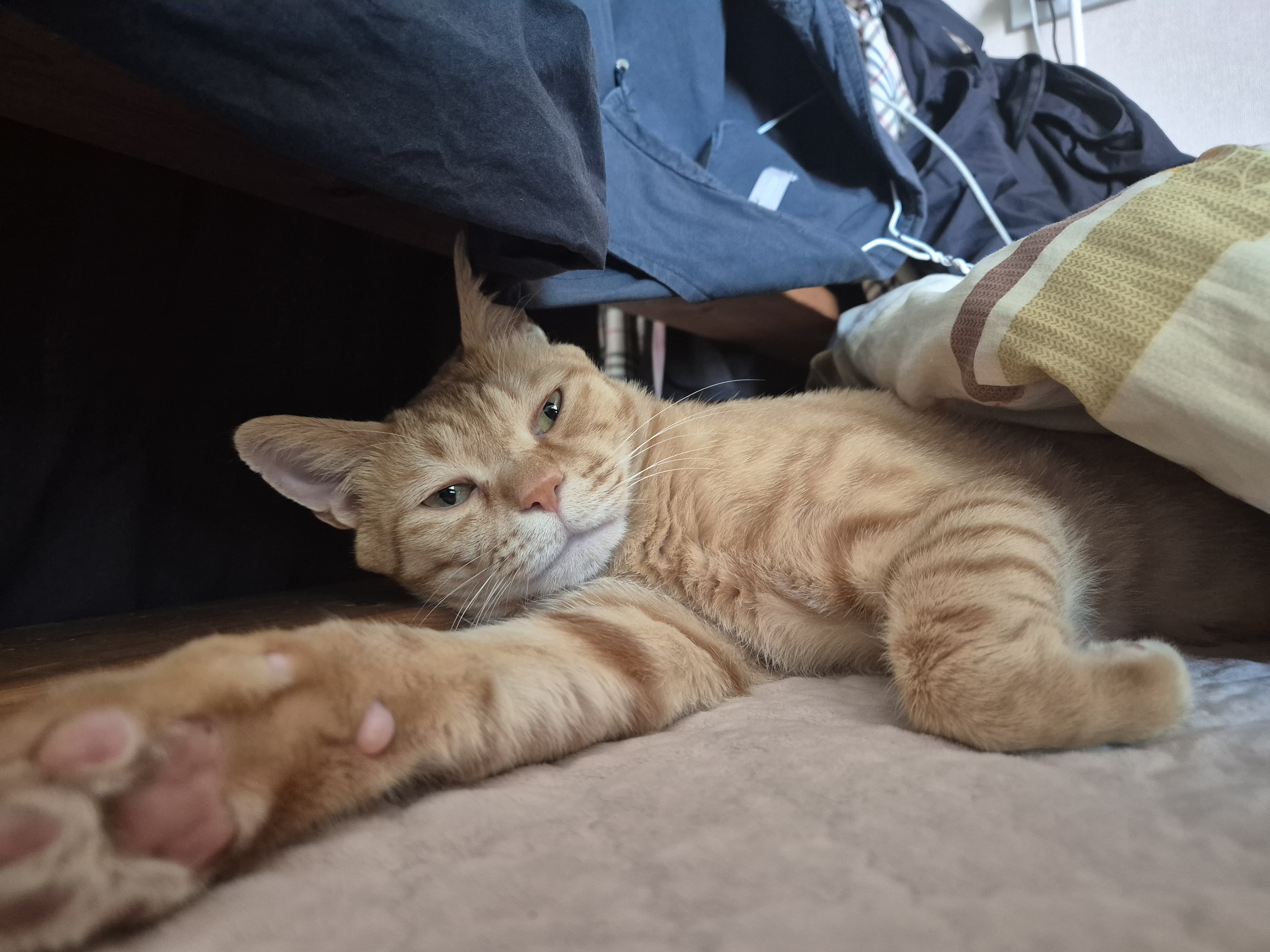 미끄러진 도시 6592291