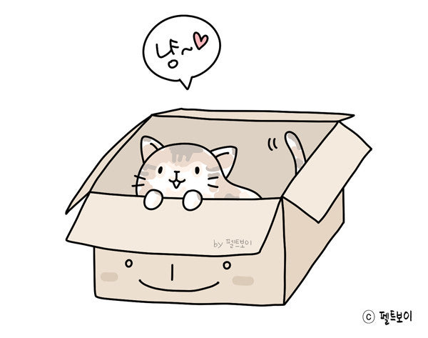 상자안에고양이