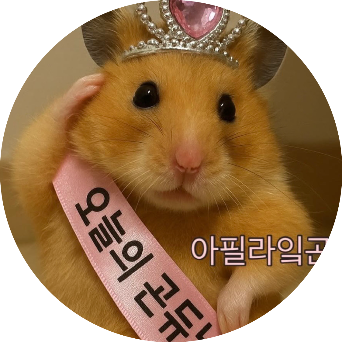 그린냥 GreenNyang