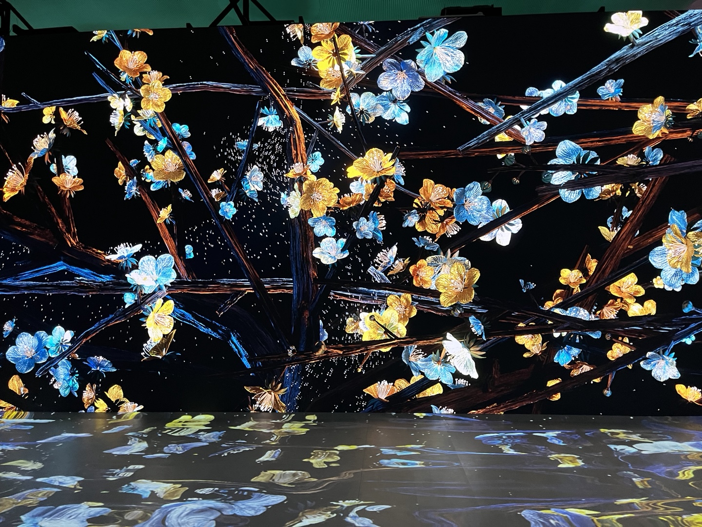 커피치즈케이크