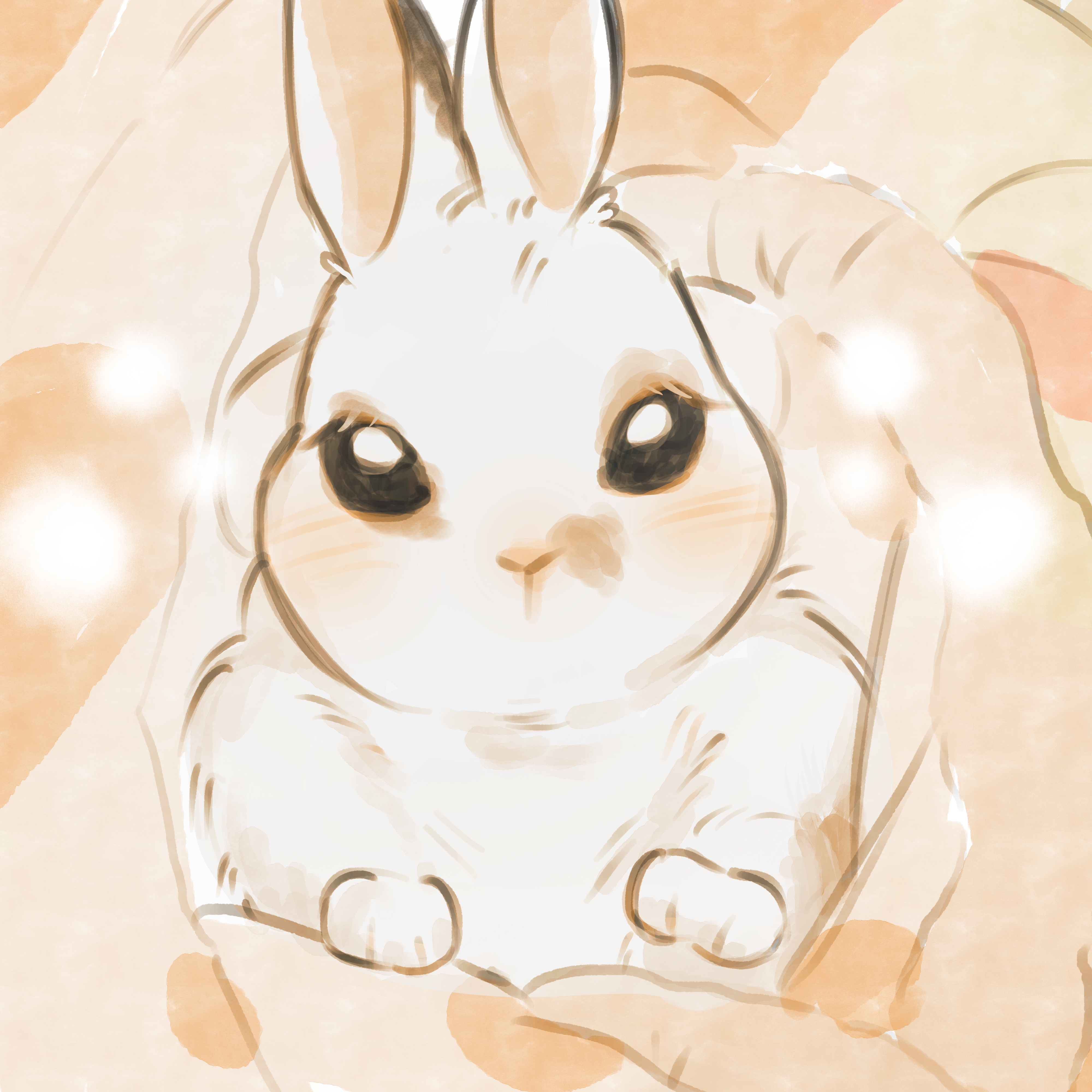 mlmlpl