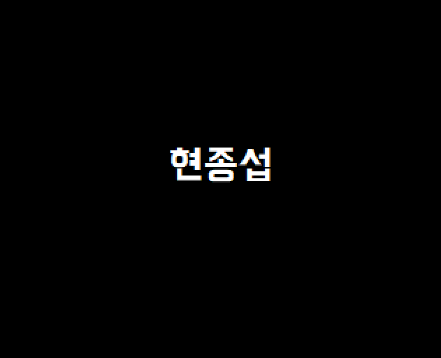 현종섭