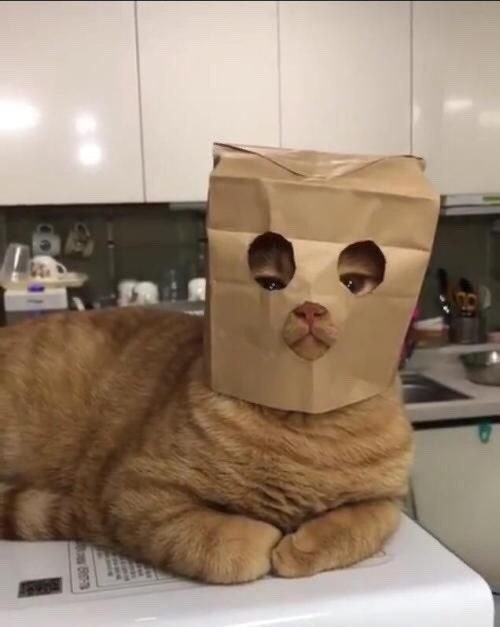공구삼공