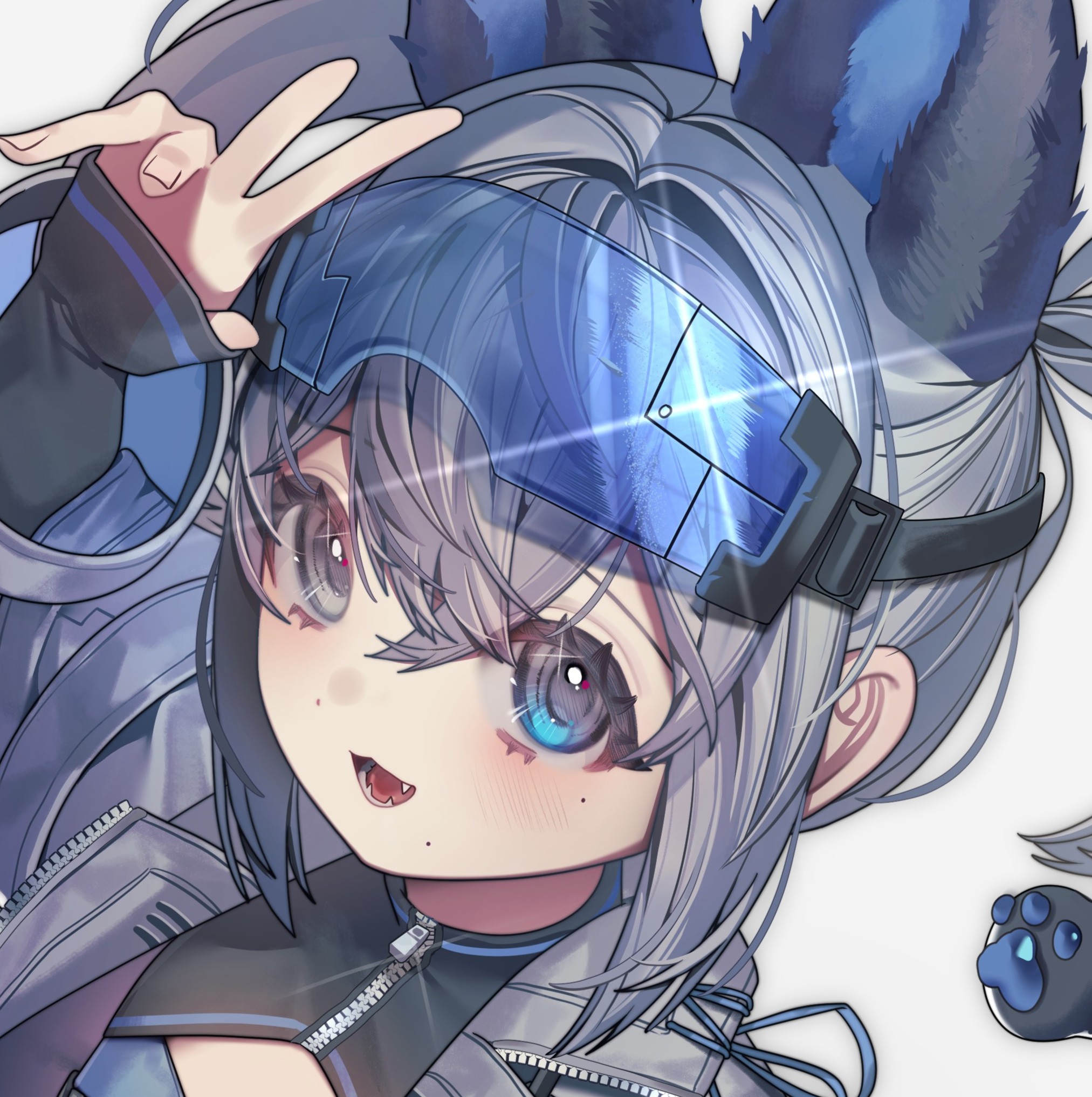 스트리머 프로필