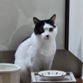 빵짱