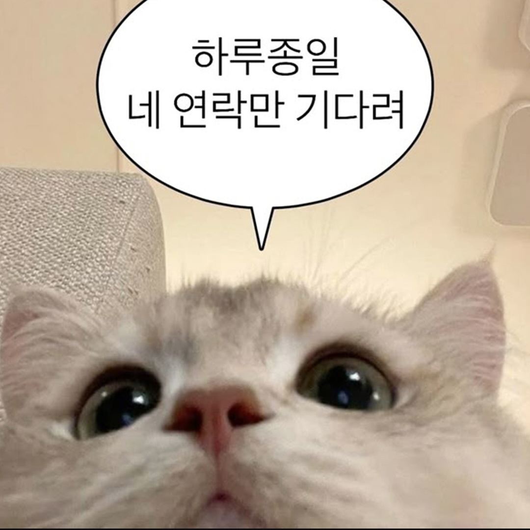 소실이입니다