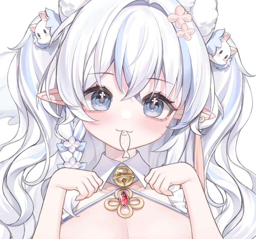 스트리머 프로필