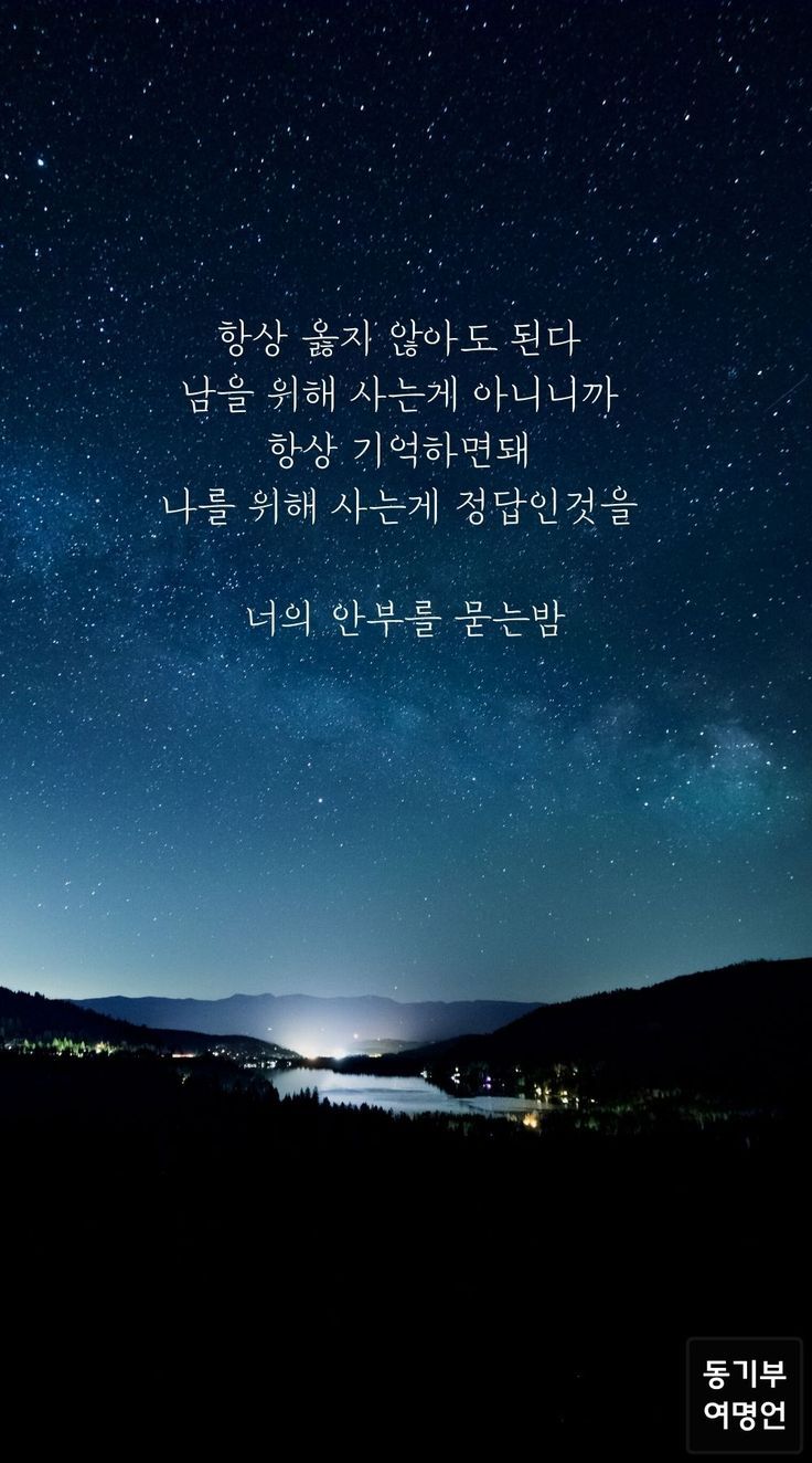 코드곤