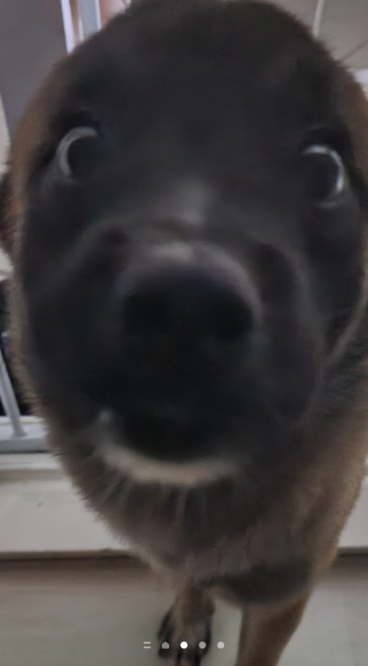팔 구칠
