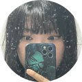 진세비