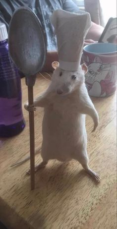 우읭이