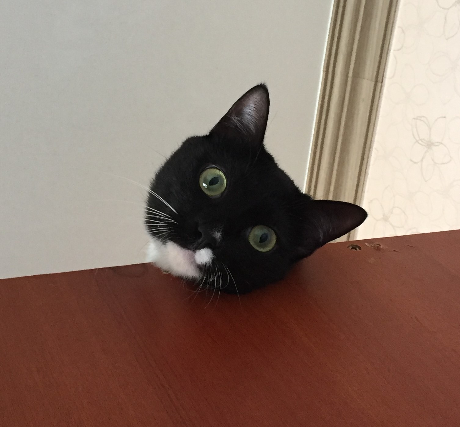 은림짱