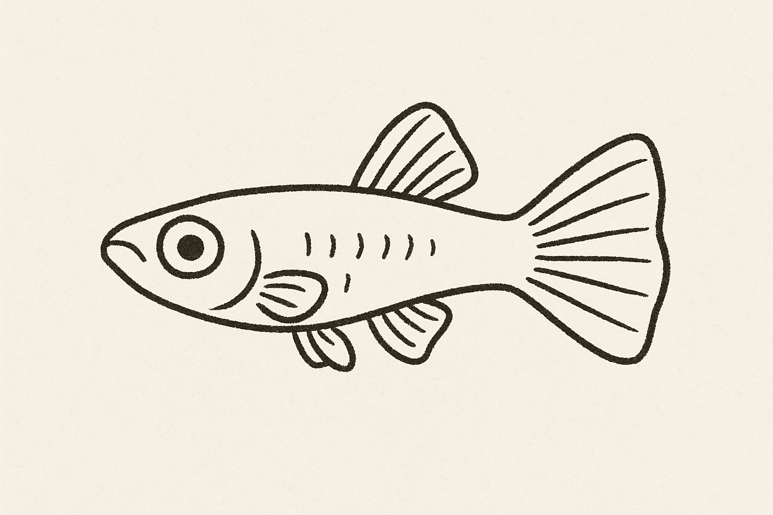 굽히지않는 구피