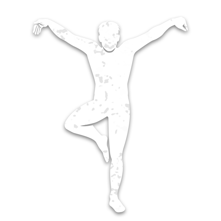 쿵푸 포즈 이모트