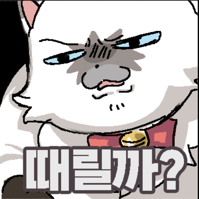 XL고양이