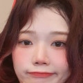 차분하개