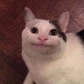 롱노즈유스티나